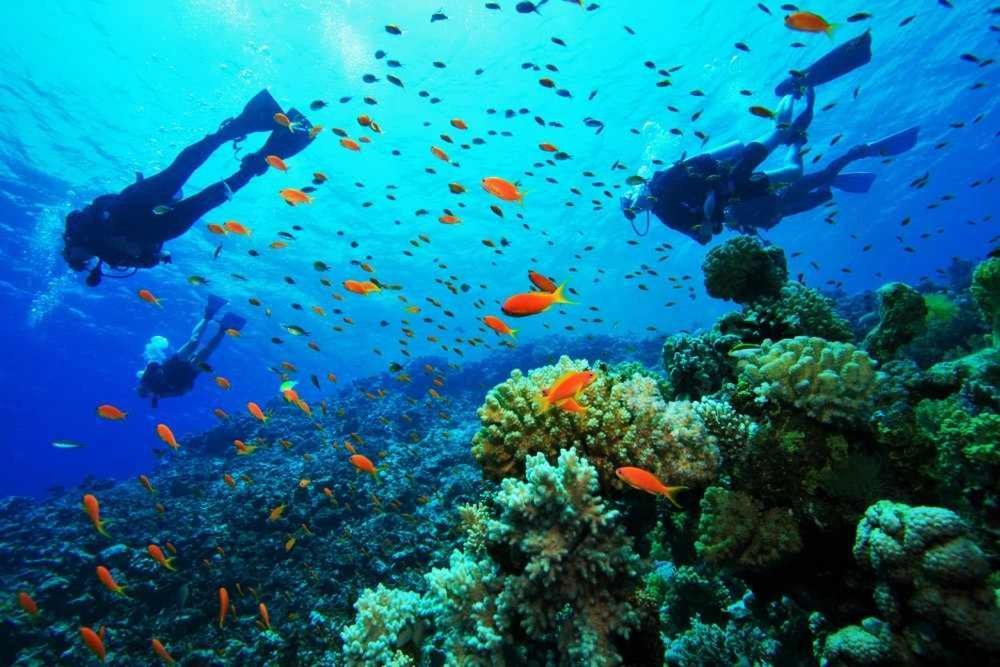 Casa Del Mar Villa Bocas Town Ngoại thất bức ảnh